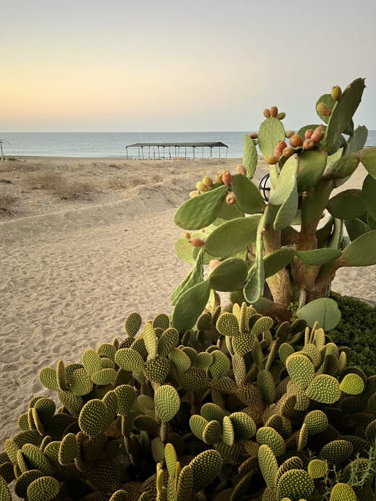 Gartenanlage Önder Yildiz Hotel