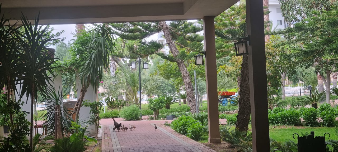 Gartenanlage Seaden Sea World Resort & Spa