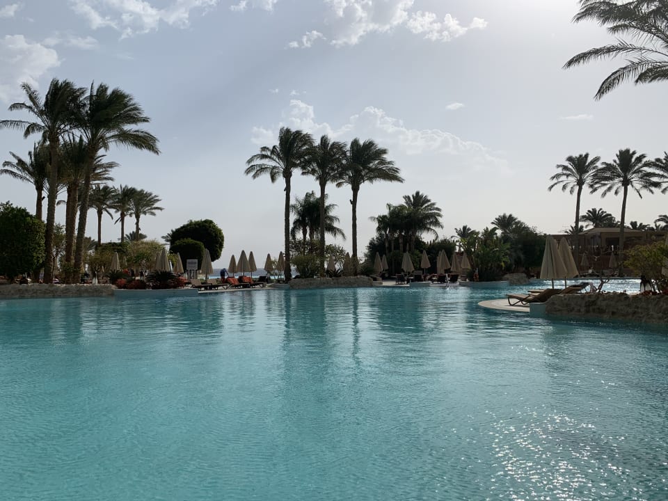 Pool Makadi Spa - Adults only