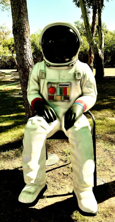 Gartenanlage Megasaray Resort Side