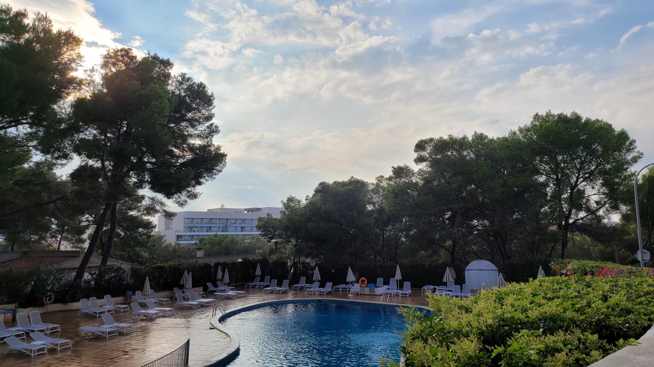 Pool Grupotel Orient