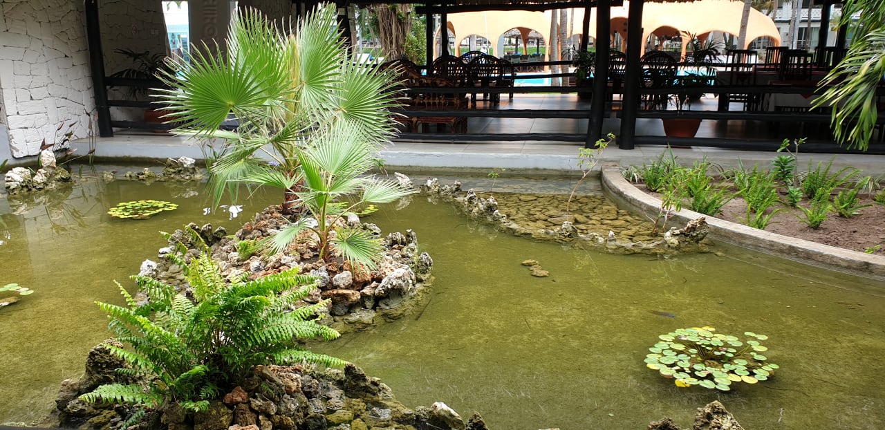 Außenansicht Hotel Southern Palms Beach Resort