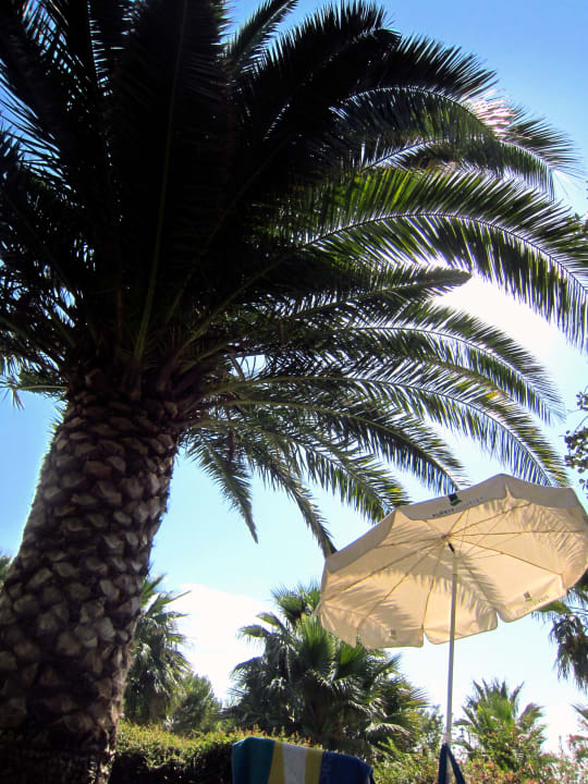 Ausblick Fuerte Conil-Resort