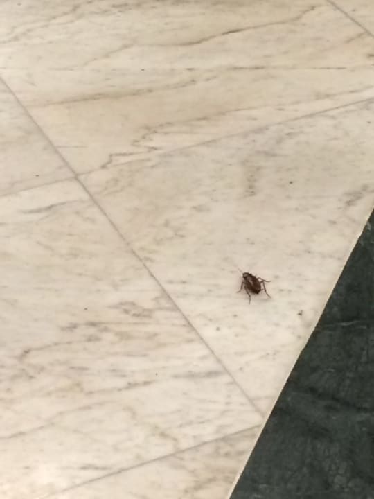 Restaurant Riviera Spa Resort - Adults Only