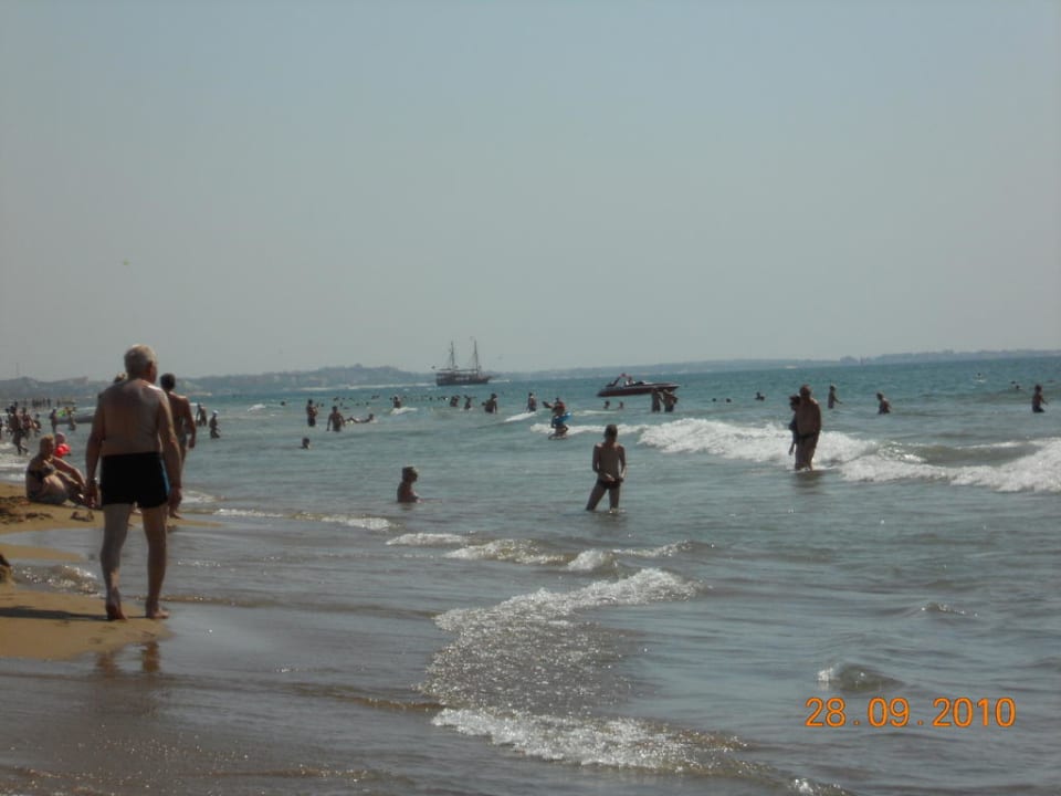 Ein schöner Strand oder etwa nicht Hotel Orfeus Park