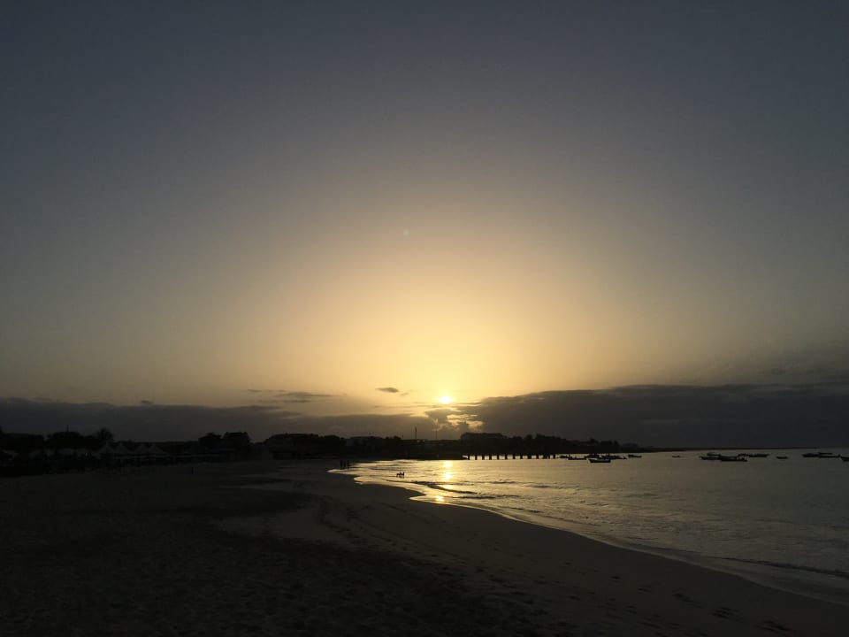 Strand Oasis Salinas Sea