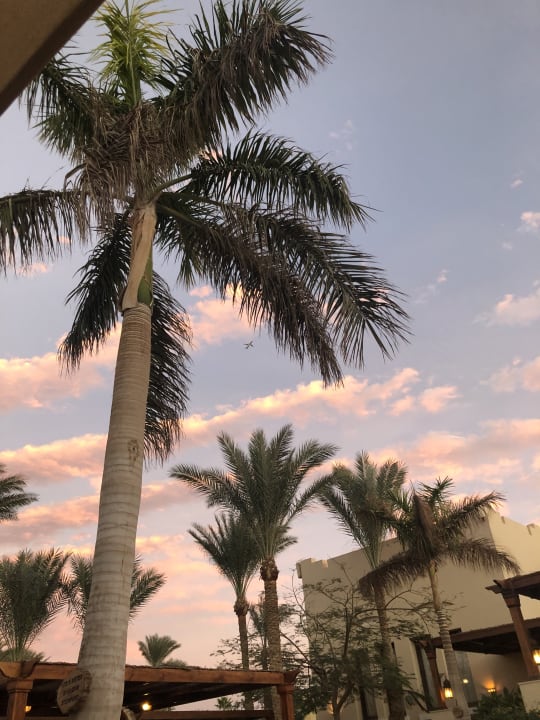 Ausblick Hotel JAZ Makadi Star & Spa