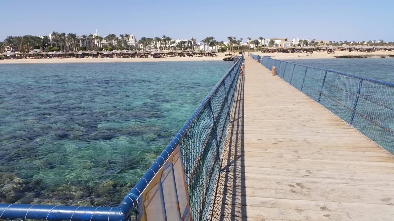 Zugang Hausriff Pickalbatros Palace Hotel-Port Ghalib