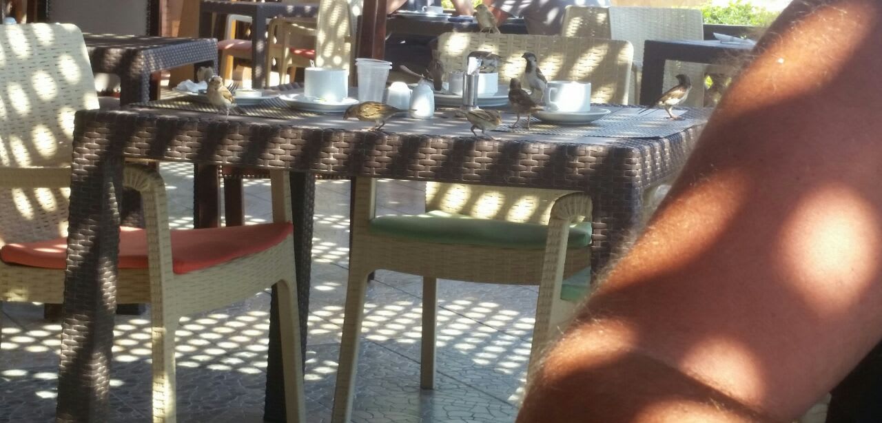Restaurant Swisstouch Oriental Resort Marsa Alam