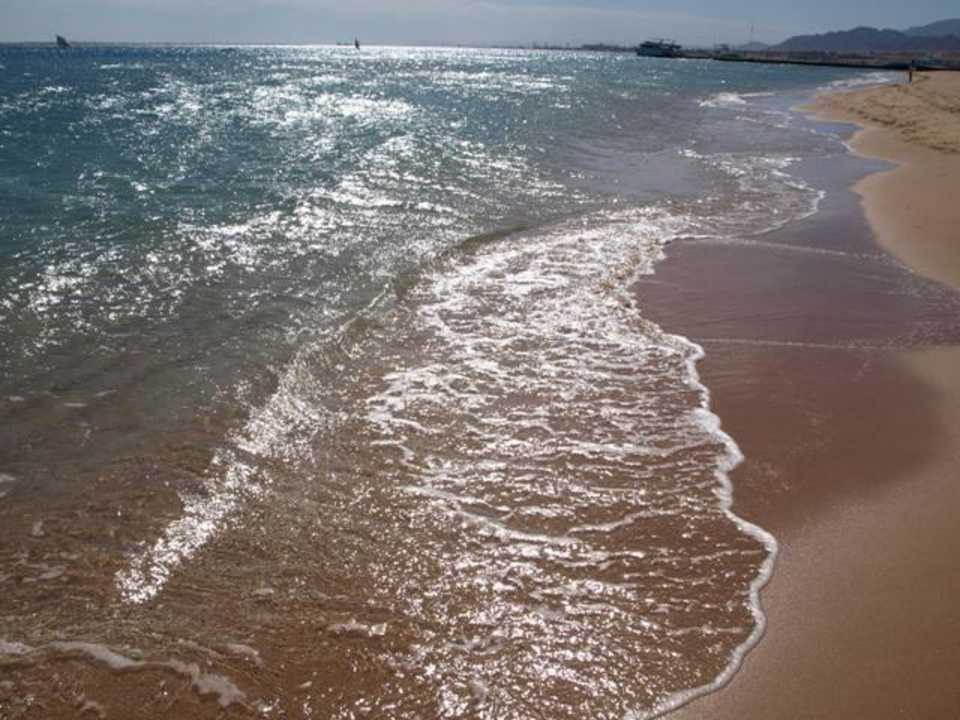 Strand Shams Prestige Abu Soma-Adults Only