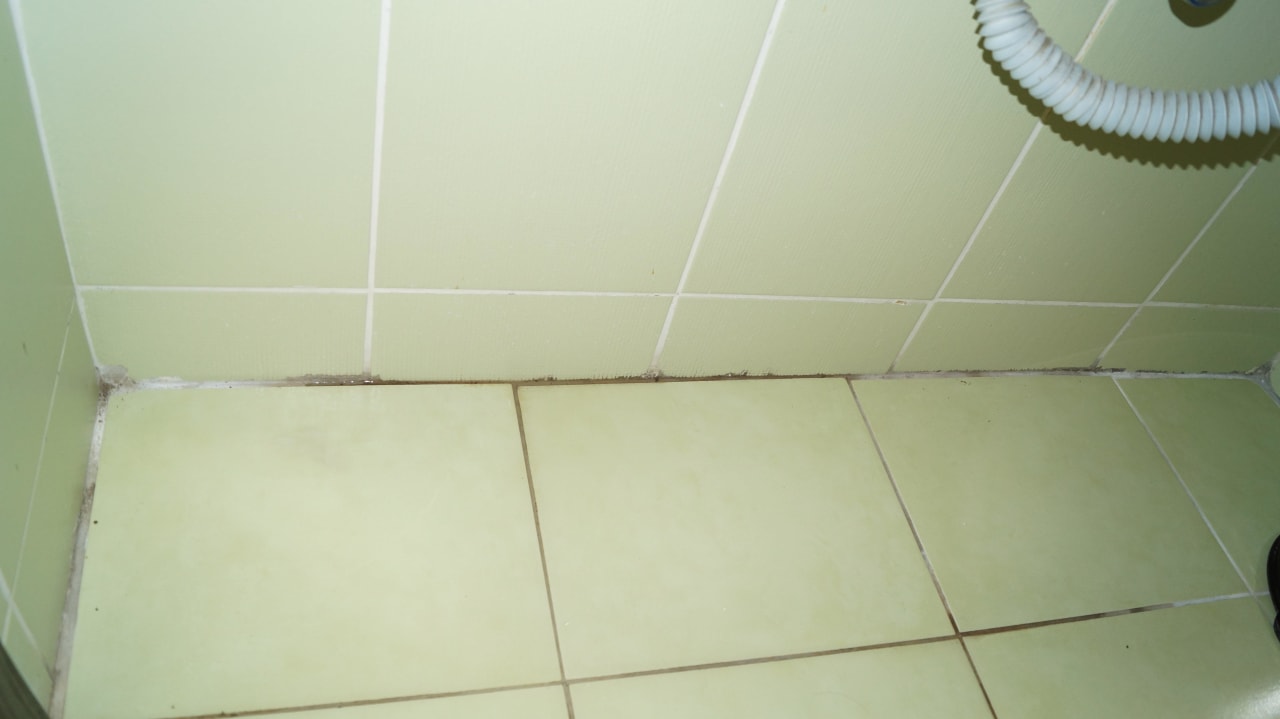 Schimmel aufm Boden des Badezimmer unter Waschbecken Hotel Orfeus Park