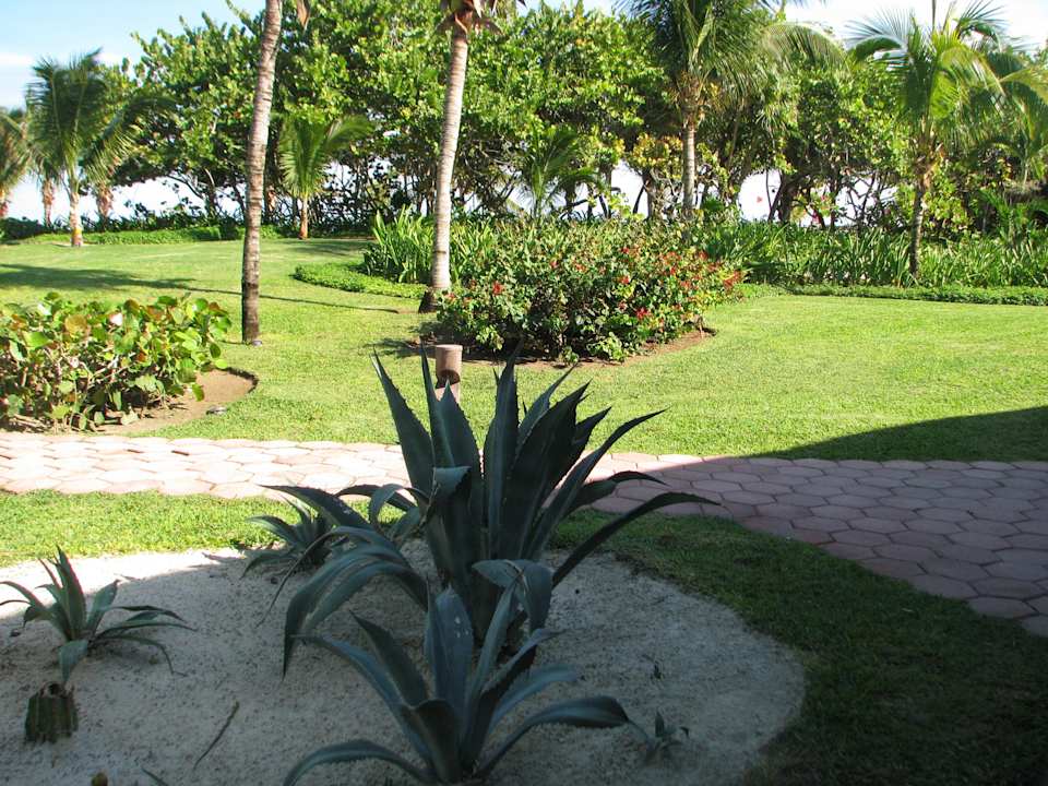 Gepflegte Gartenanlagen Catalonia Playa Maroma