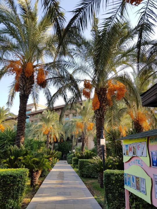 Außenansicht Sunis Kumköy Beach Resort Hotel & Spa