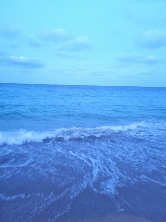 Strand GRIFID Vistamar