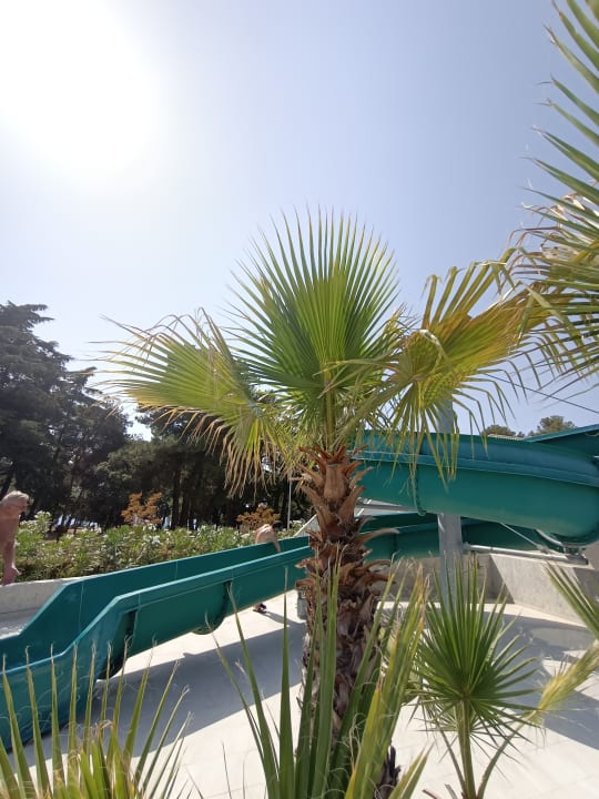 Sport & Freizeit Valamar Parentino Hotel