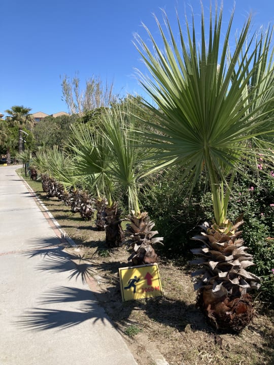 Gartenanlage Asteria Family Belek