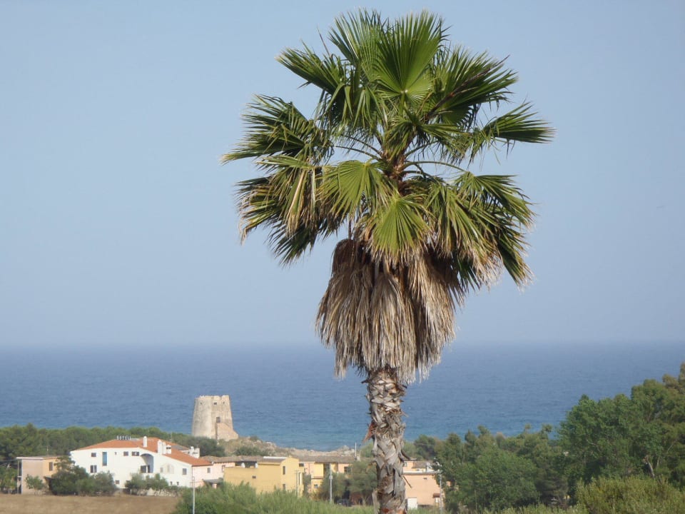 Blick zum La Torre Bari Sardo Felix Hotels - Galanias Hotel & Retreat