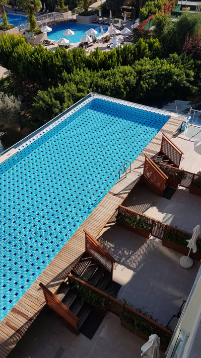Pool Commodore Elite Suites & Spa - Adults only