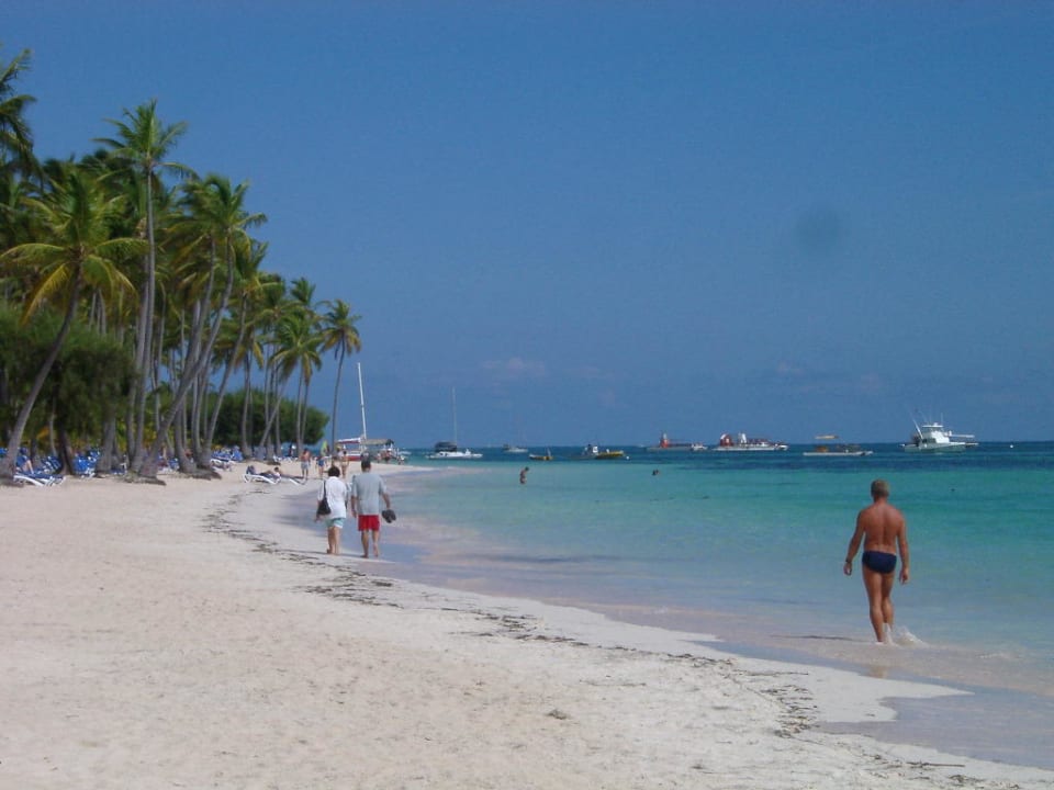 Hotelstrand Barcelo Bavaro Beach - Adults only