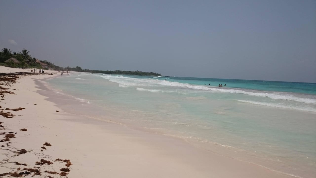 Sicht nach links Catalonia Royal Tulum Beach & Spa Resort - Adults only