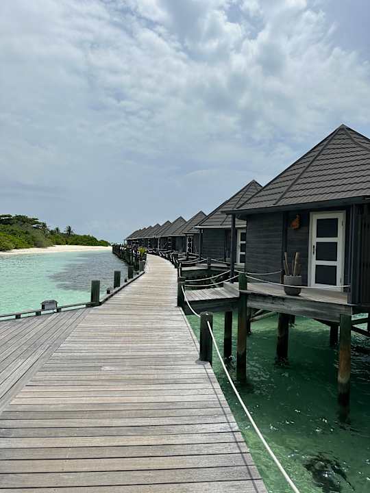 Zimmer Kuredu Island Resort & Spa