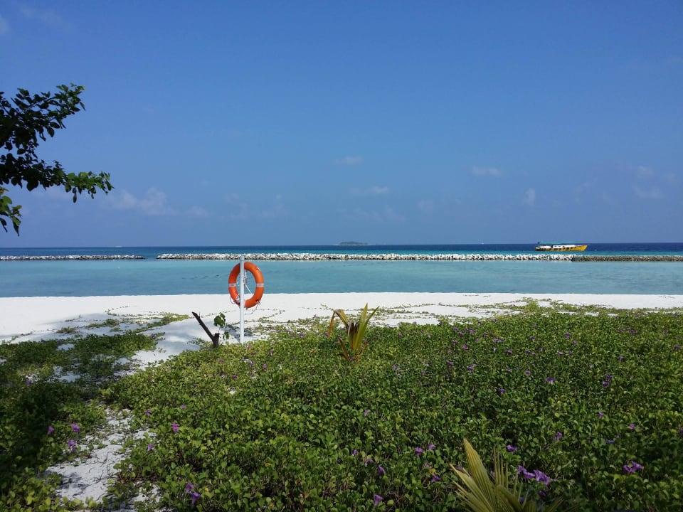 Ostseite Summer Island Maldives