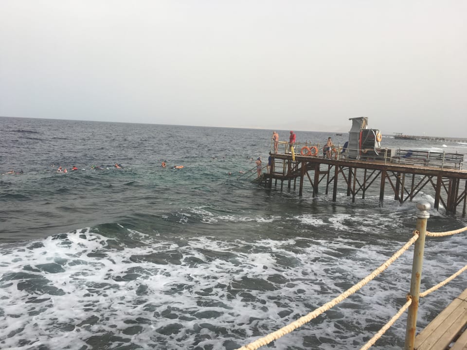 Strand Pickalbatros Royal Moderna Resort-Sharm El Sheikh