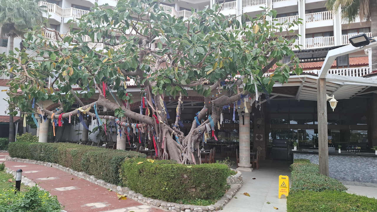 Gartenanlage Hotel Defne Garden