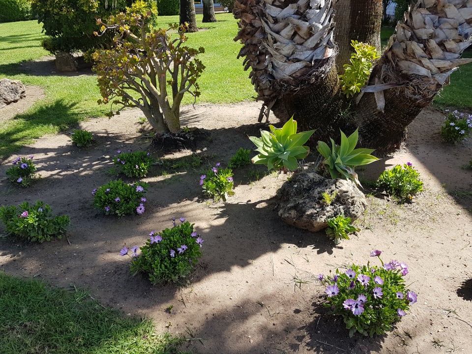 Gartenanlage Aldiana Club Andalusien