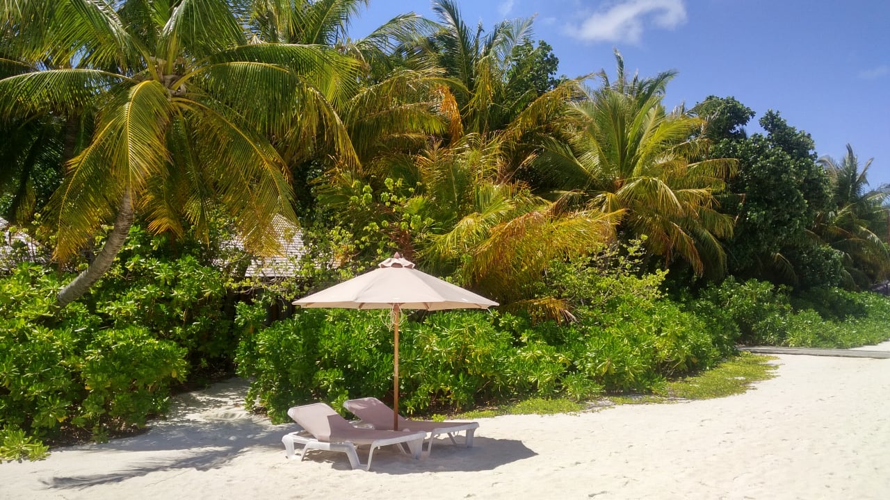 Strand vor Beachbungalow 211 Veligandu Maldives Resort Island