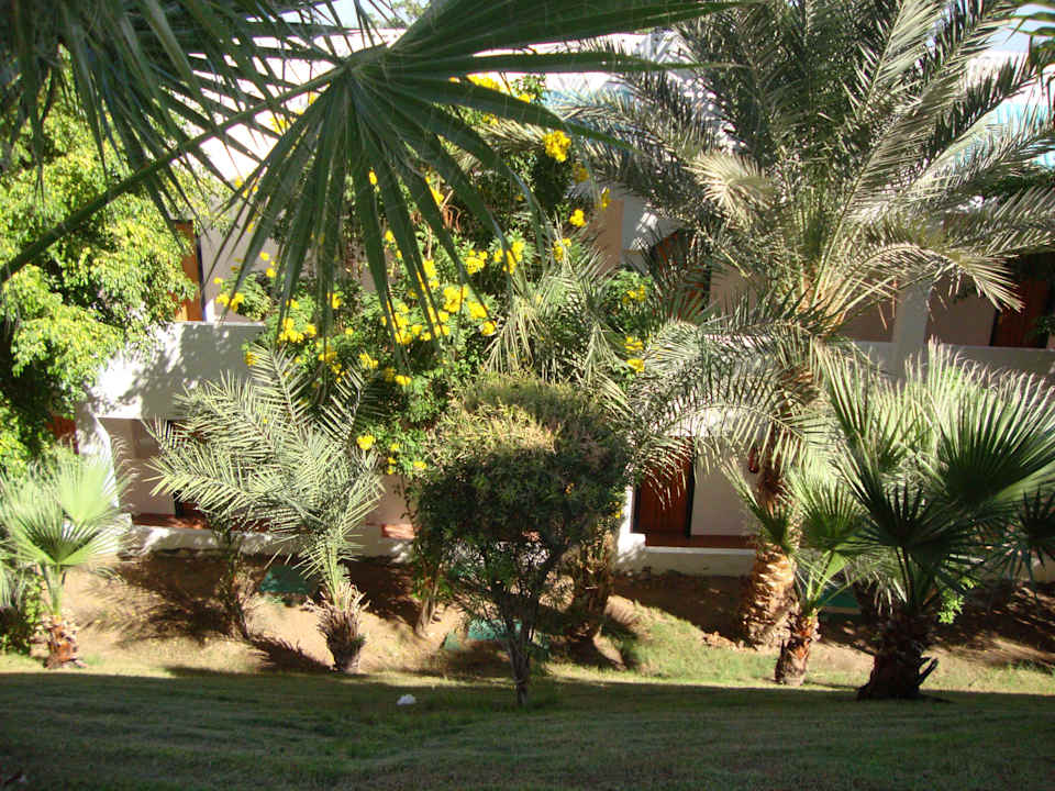 Zadbany ogród Sultan Gardens Resort