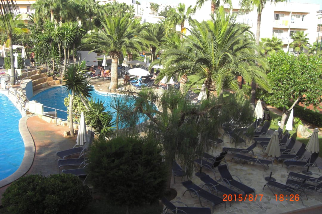 Palmen wohin das Auge reicht Club Simó Hotel by Senator