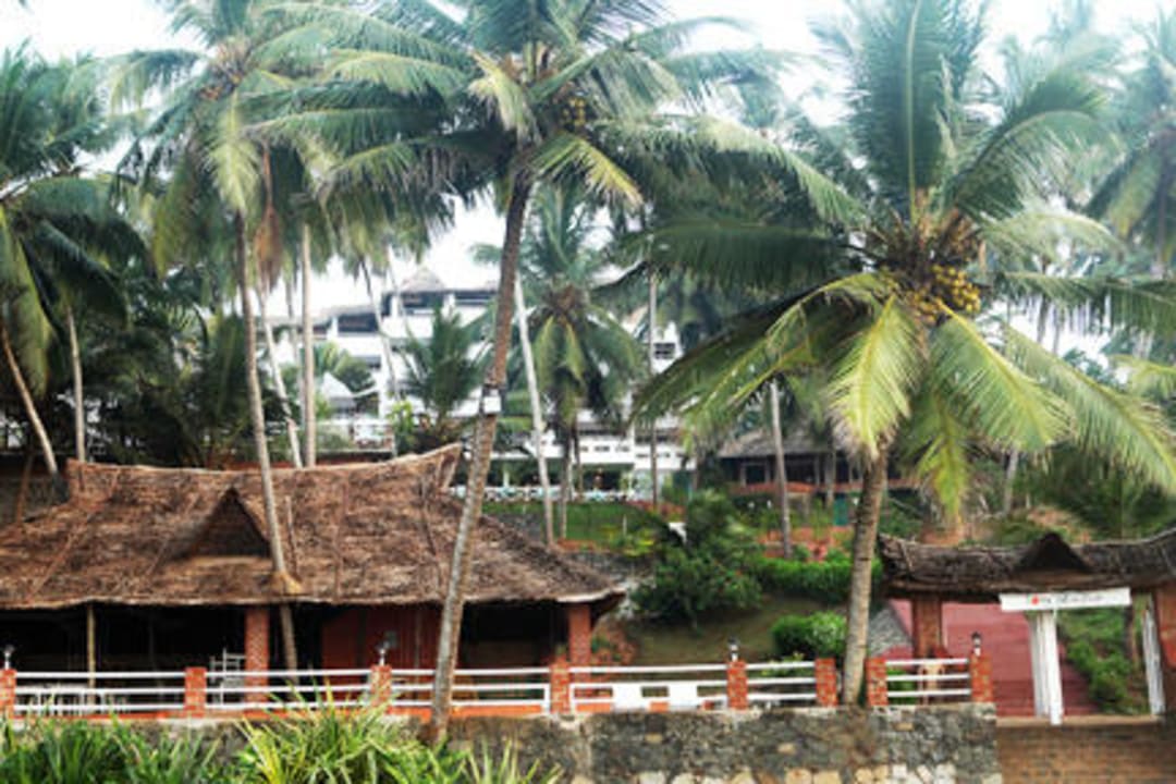 Kattamaram,Sea Food Restaurant Hotel Soma Palmshore
