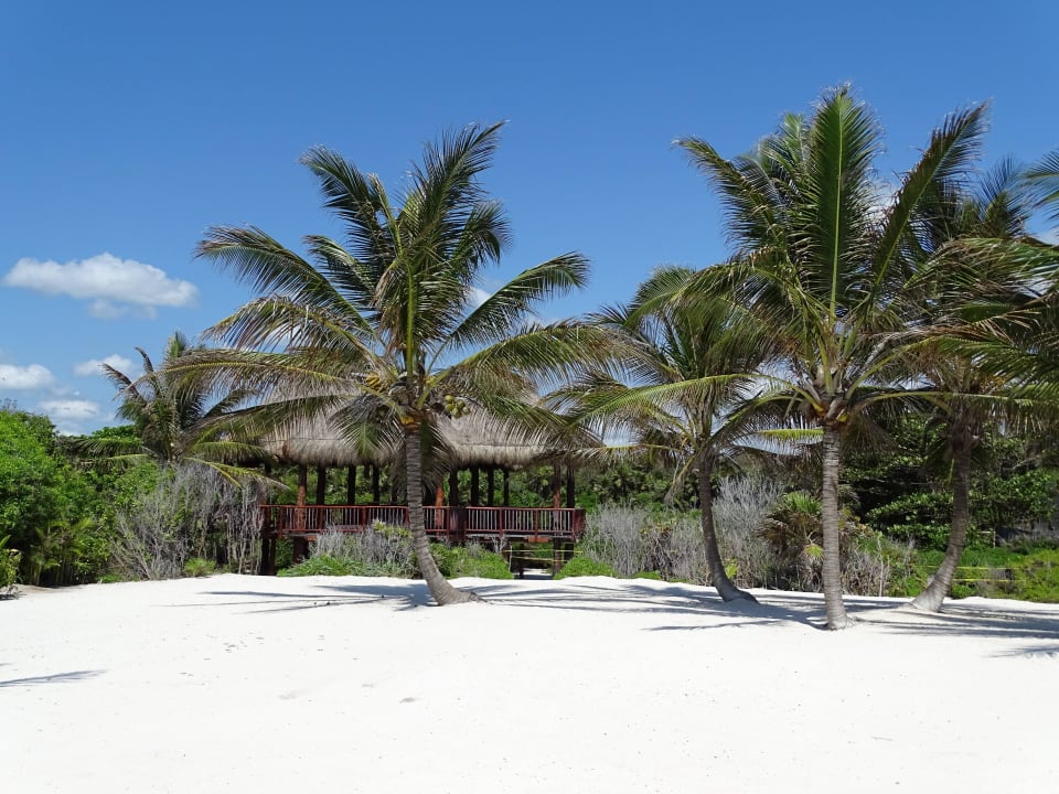 Holzbau mit Strohdach Akumal Bay Beach & Wellness Resort