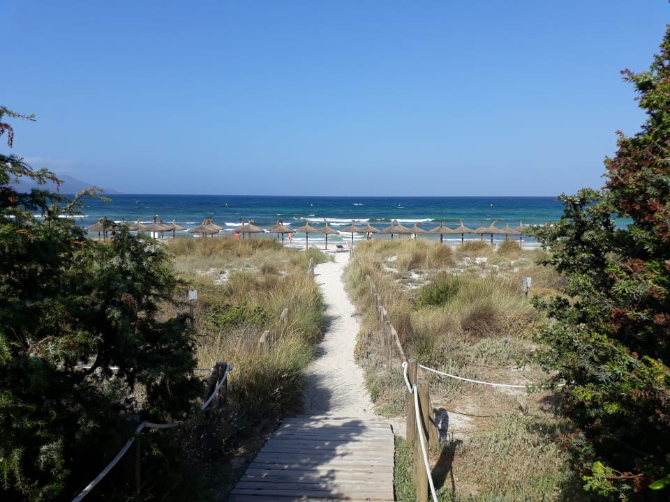 Strand Grupotel Natura Playa