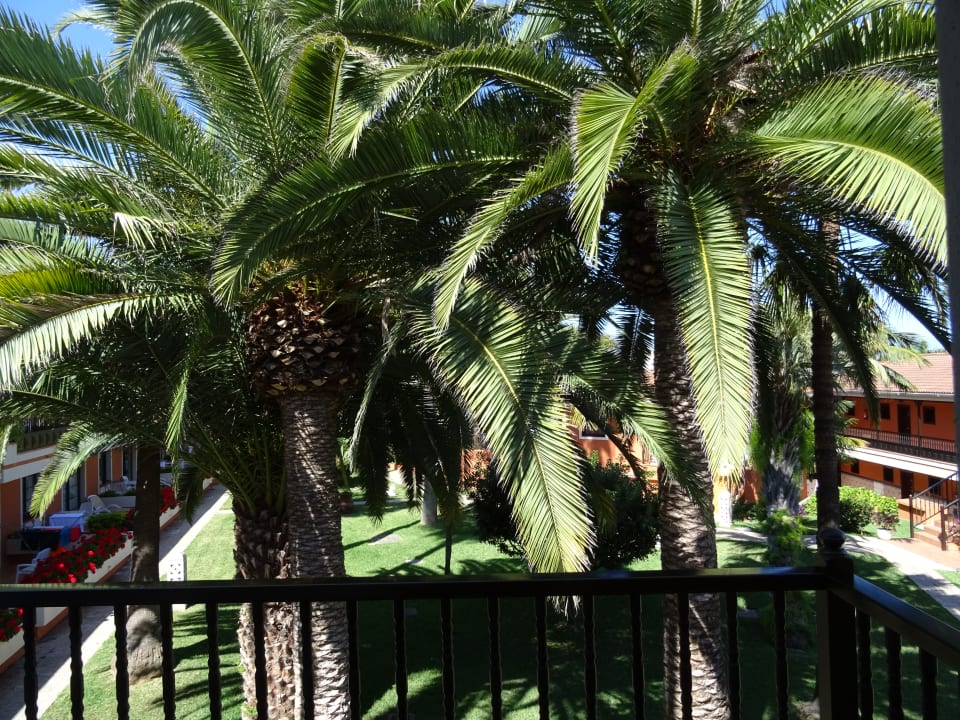 Gartenanlage Apartments Ambassador