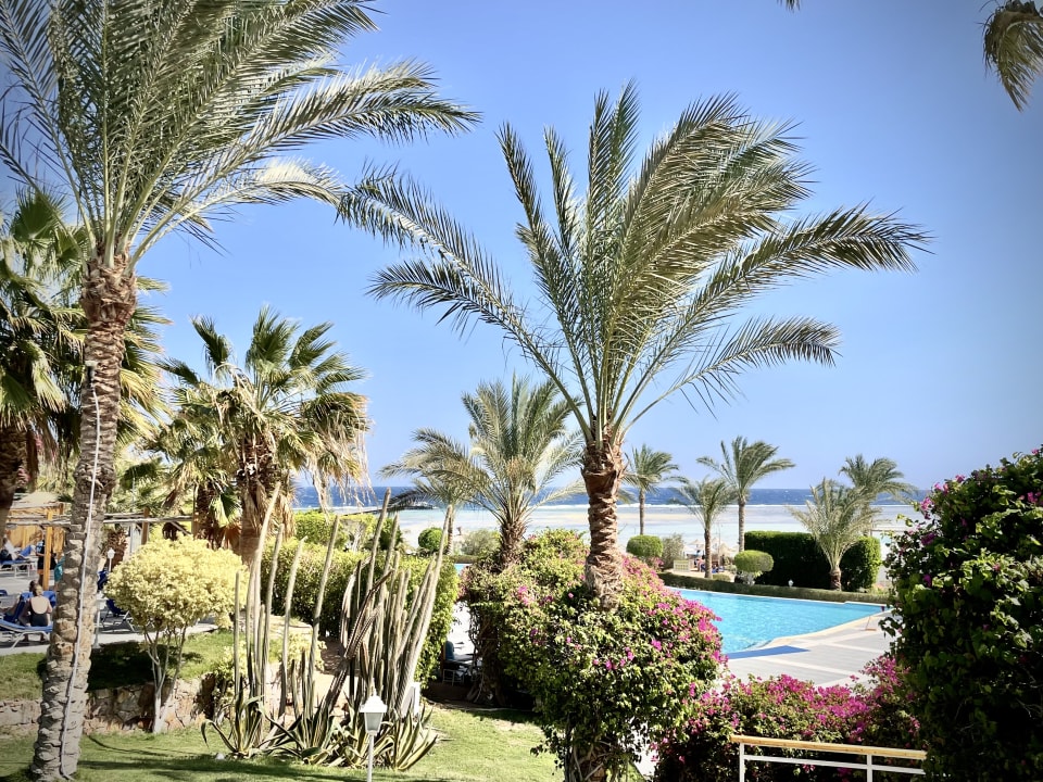 Ausblick TUI MAGIC LIFE Kalawy