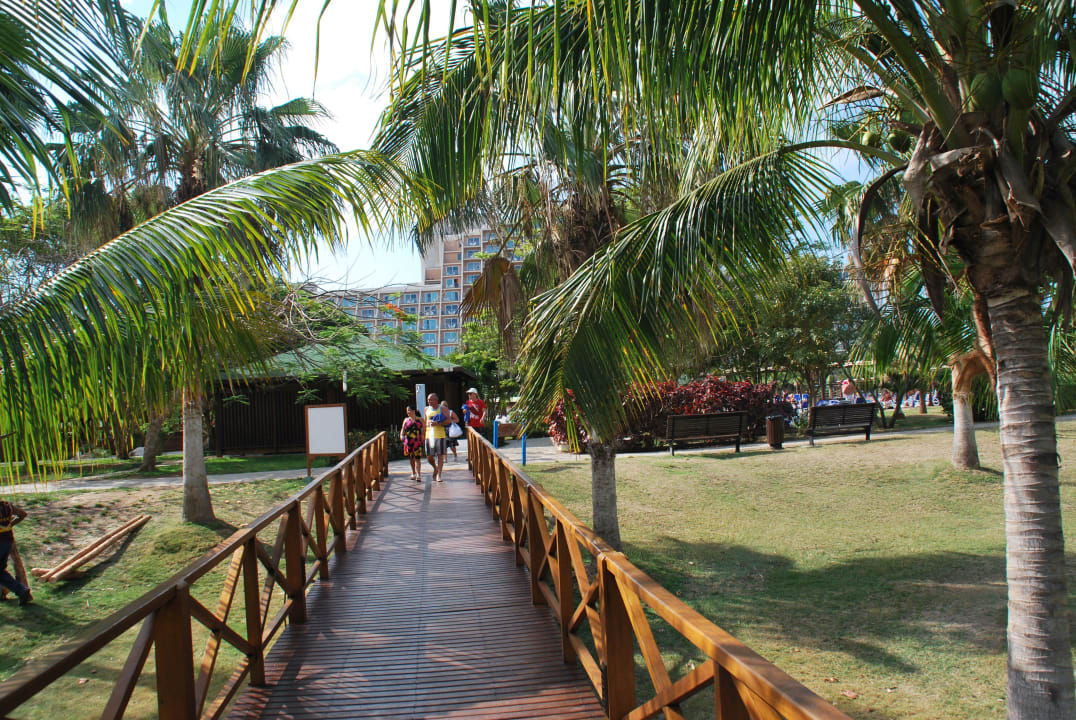 Brücke durch den Garten Blau varadero - Adults only