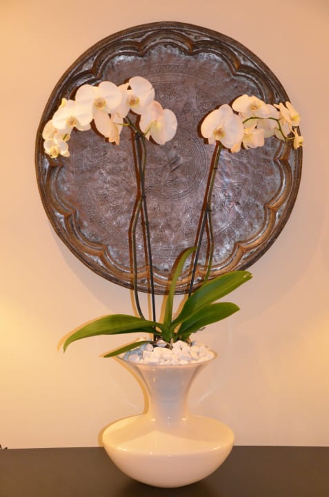 Korridor Ajman Saray, a Luxury Collection Resort