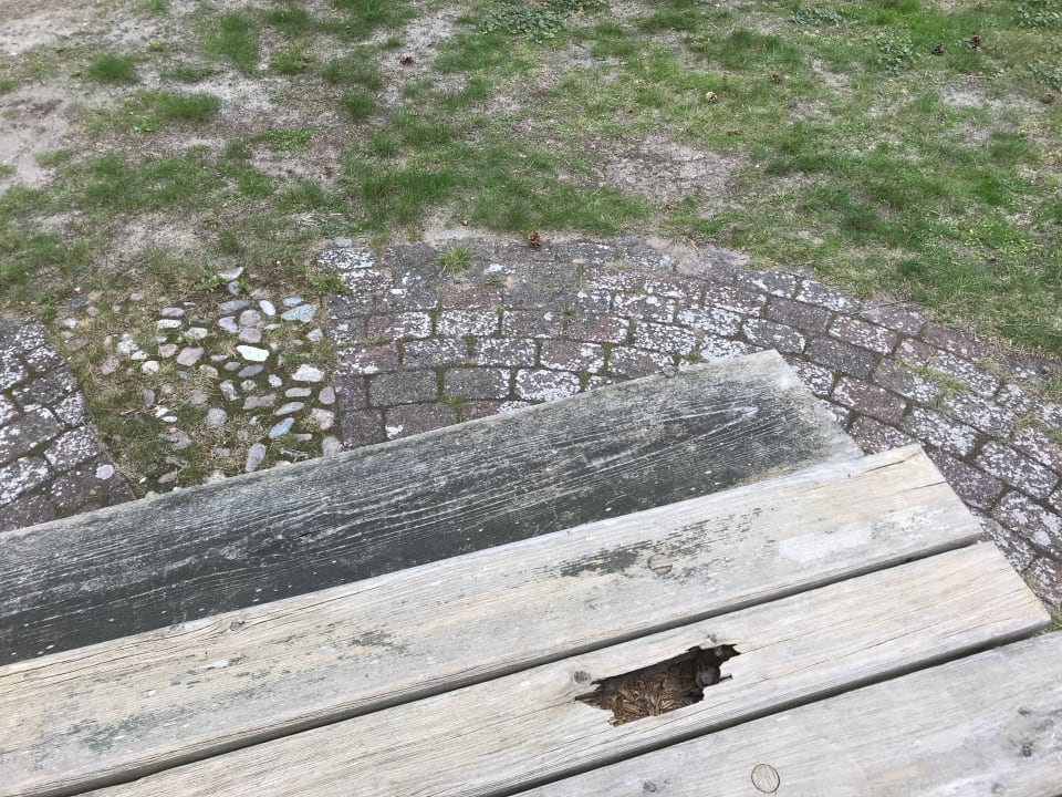 Gartenanlage Ferienwohnanlage Mühlenhof