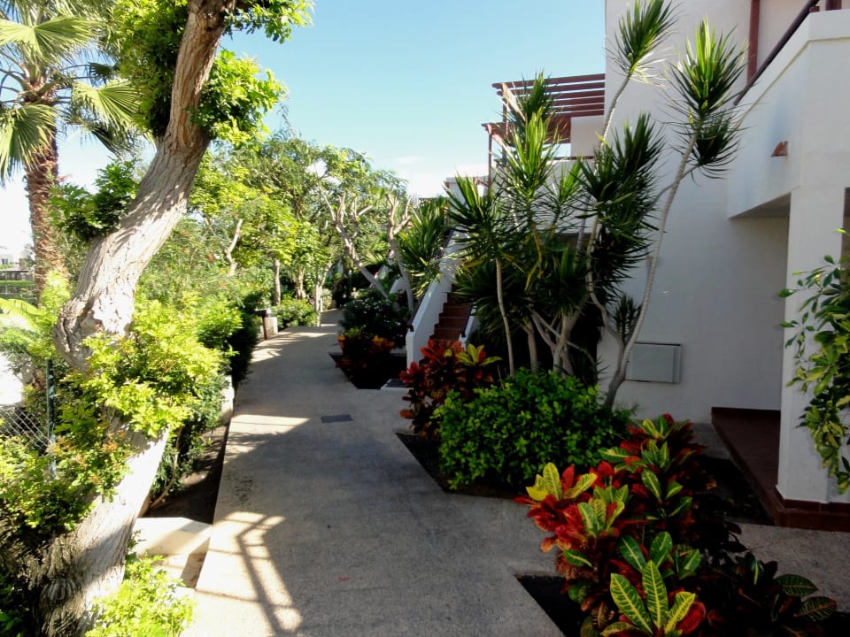 Gebäude der Hotelanlage Alua Suites Fuerteventura