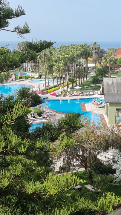 Strand Arum Barut Collection