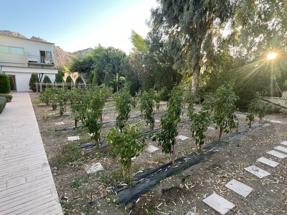 Gartenanlage Kolymbia Bay Art Adults-only Hotel