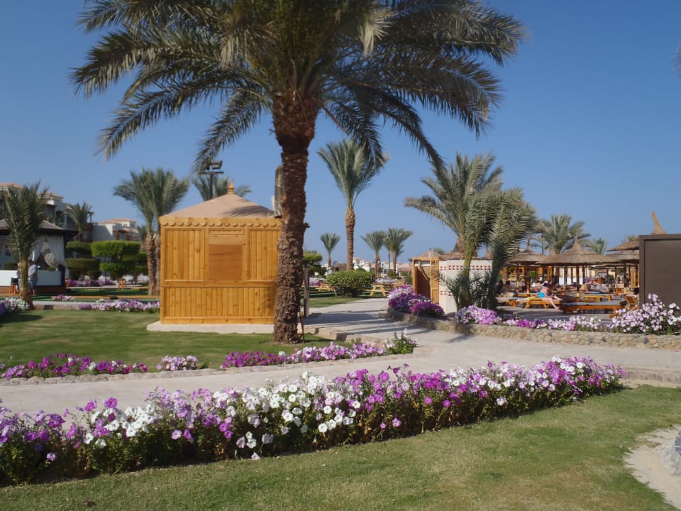 Widok z baru Pickalbatros Dana Beach Resort - Hurghada