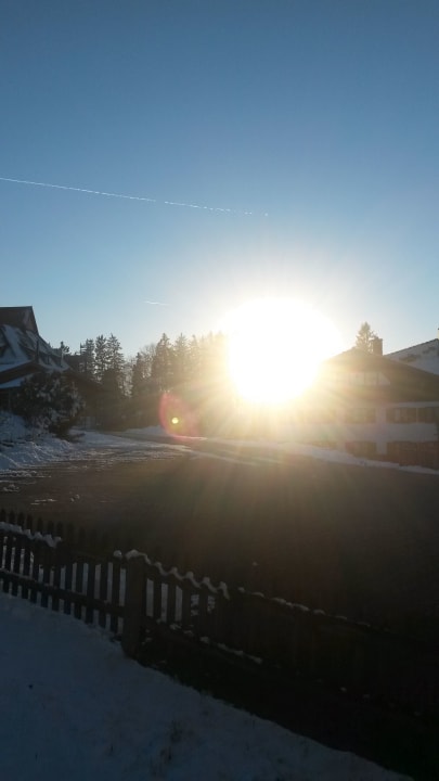 Ausblick Ferienhof - Bauernhof Hefele