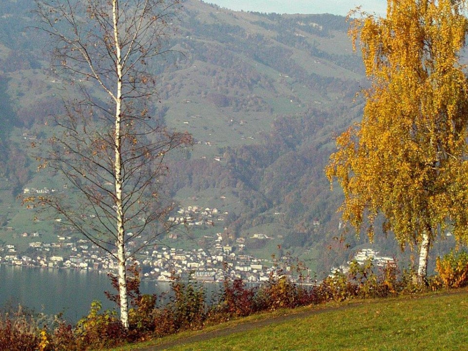 Vierwaldstättersee Seeblick Höhenhotel
