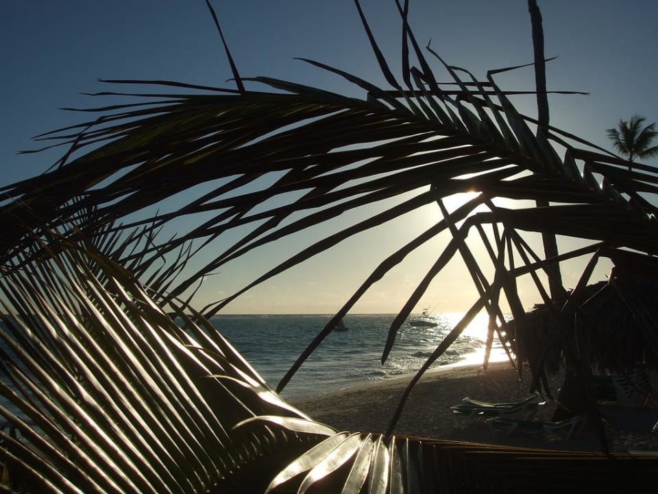 Postkartenmotiv  Grand Palladium Select Bávaro Resort & Spa