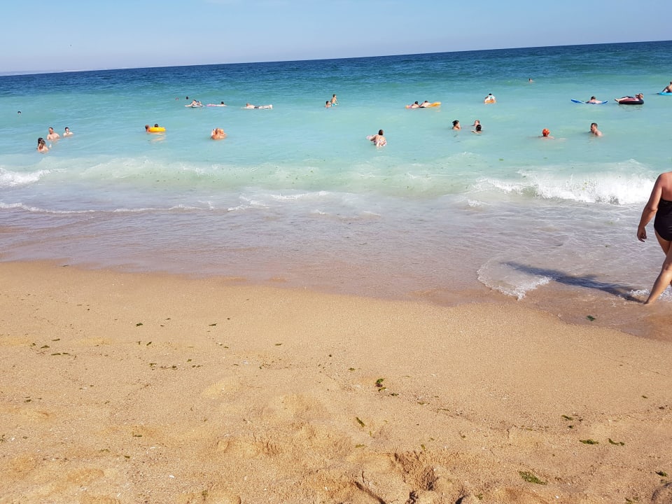 Schön HVD Viva Club Hotel