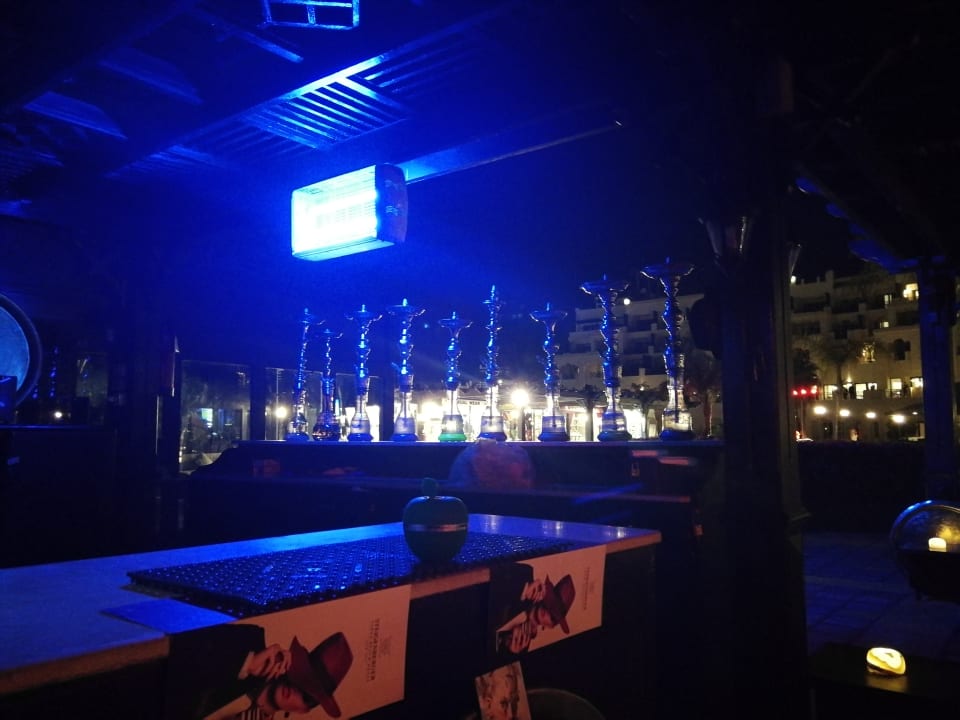 Gartenanlage Steigenberger ALDAU Beach Hotel