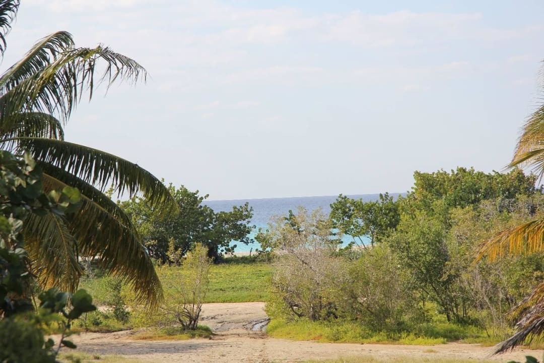 Meersicht Hotel Playa Pesquero